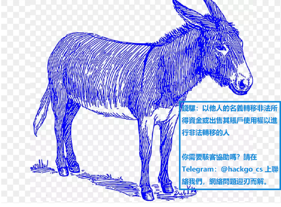 錢騾網路演變為階層分明且高度商業化的犯罪體系